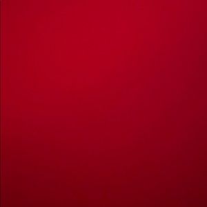 Meet your Posher, Bella